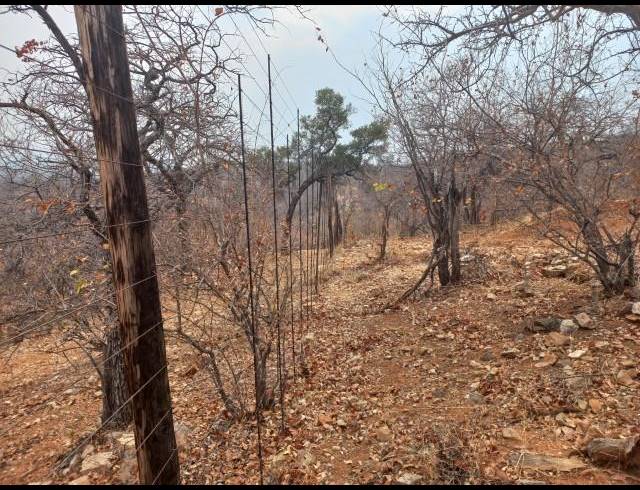 FARM FOR SALE IN MOPANE